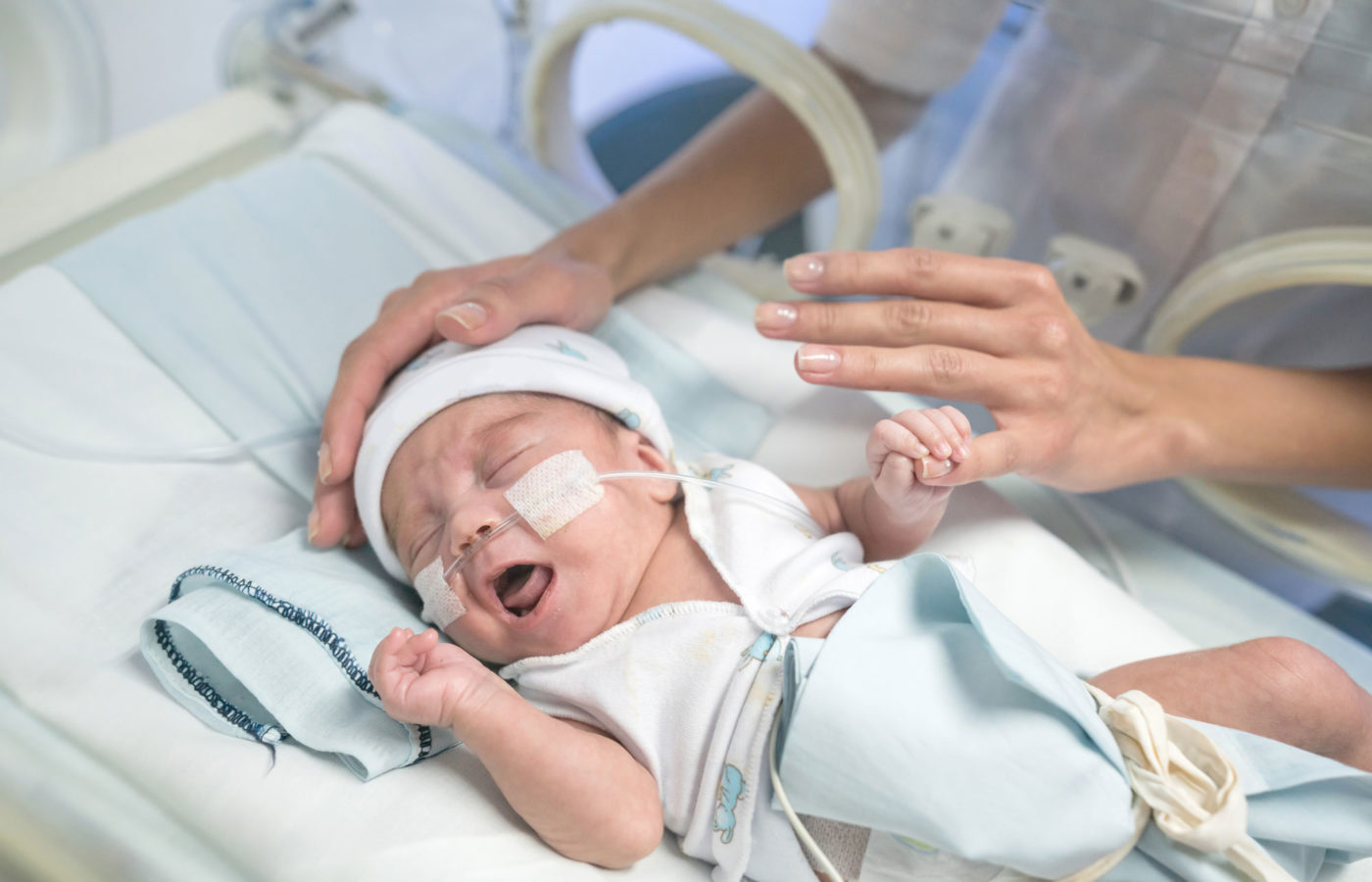 Small newborn baby cries in an incubator